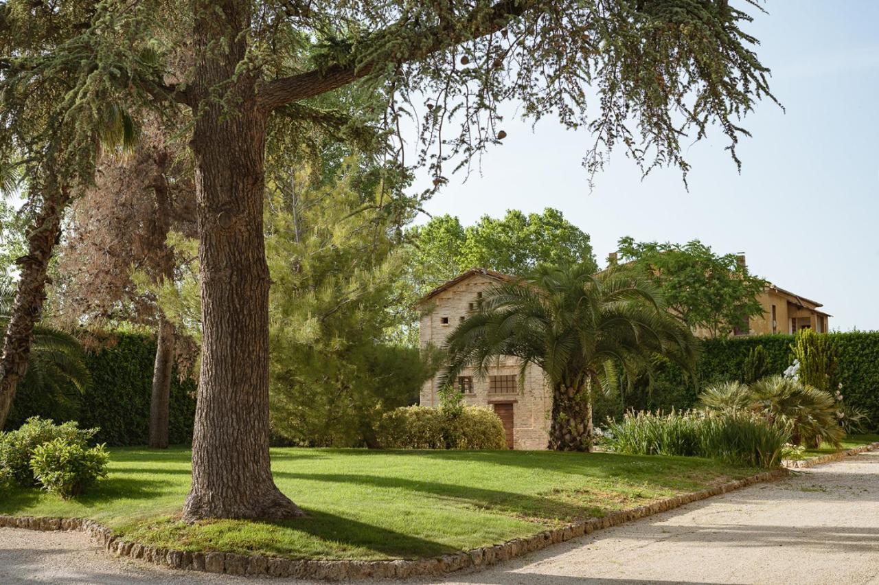 Villa Corallo Sant'Omero Zewnętrze zdjęcie